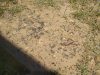 IMG_20200603_130218