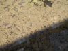 IMG_20200603_130251