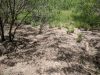 IMG_20200603_135350